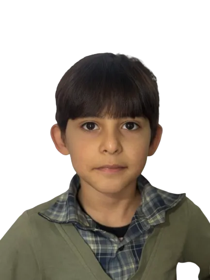 ﮐﺎﺭﻥ ﺯﯾﻨﺎﻟﯽ